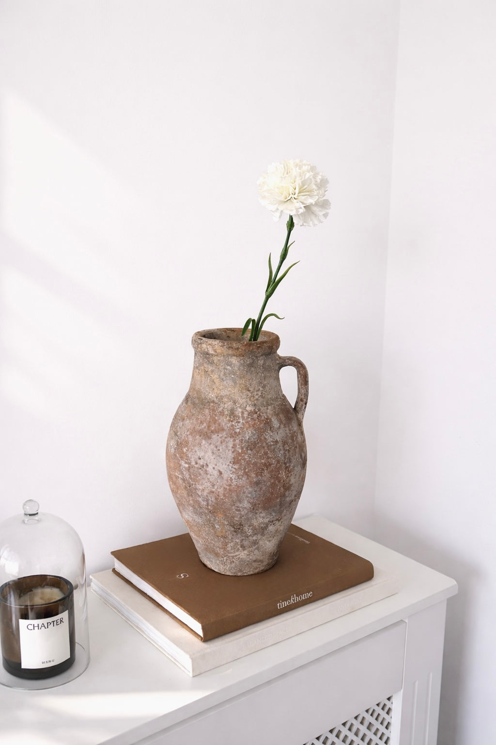 Single stem white Carnation